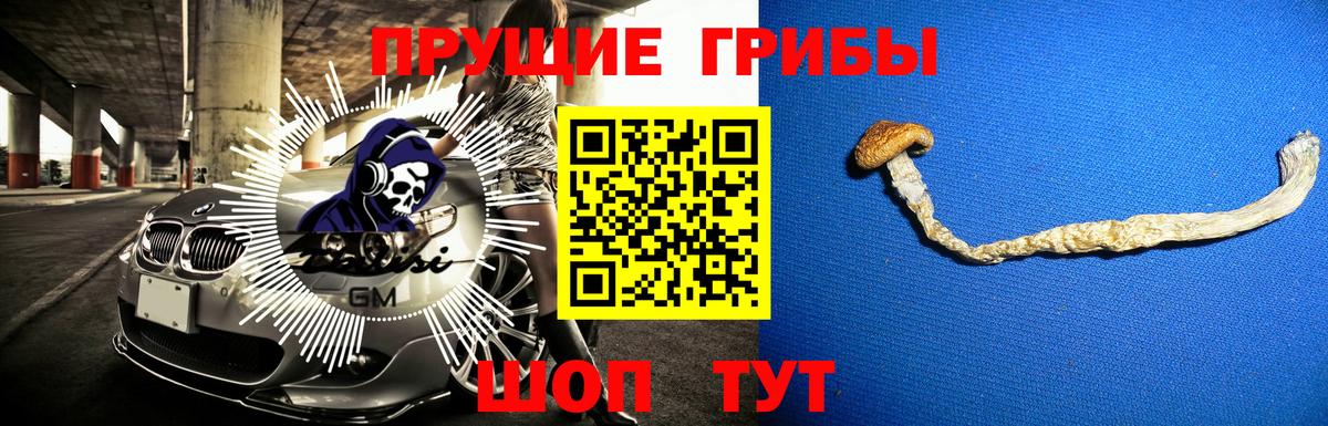 Псилоцибиновые грибы Magic Shrooms  Вход с VPN  Псилоцибиновые грибы ЛСД  Энгельс 